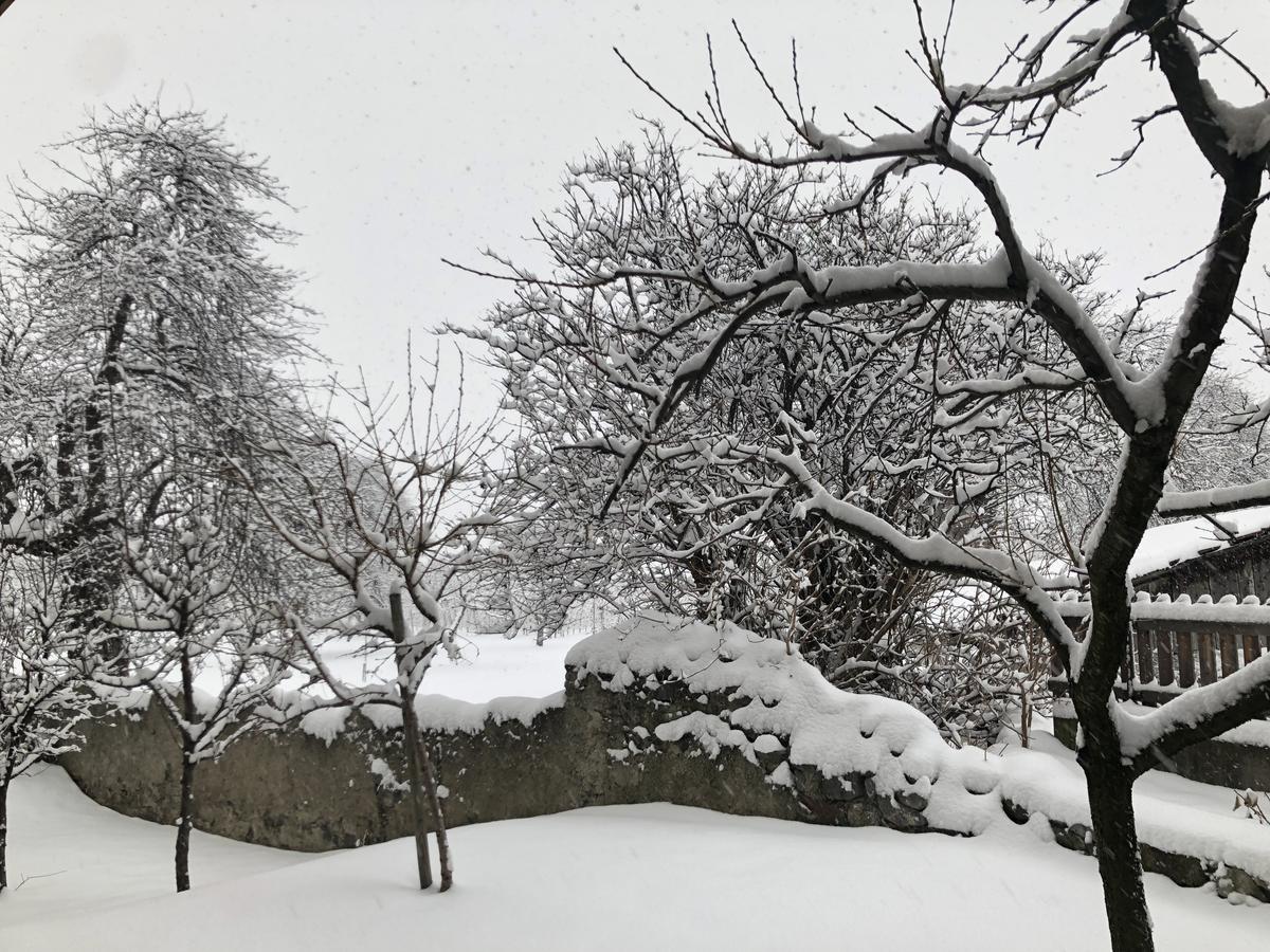 Garni Glurnserhof Kültér fotó